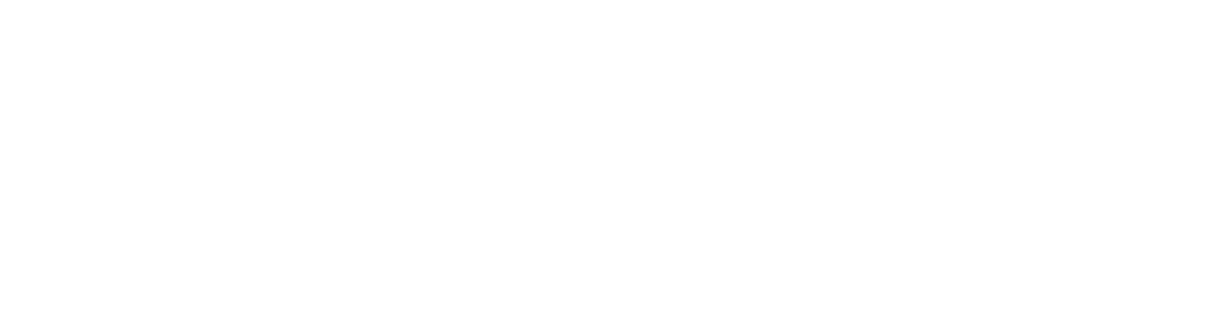 Seidel Exterior Group