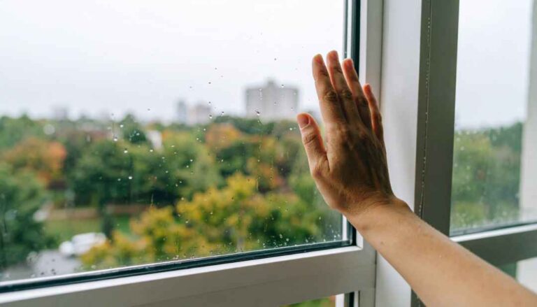windows water damage