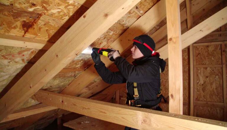 attic roof leaks