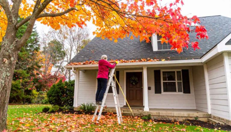 roof maintenance